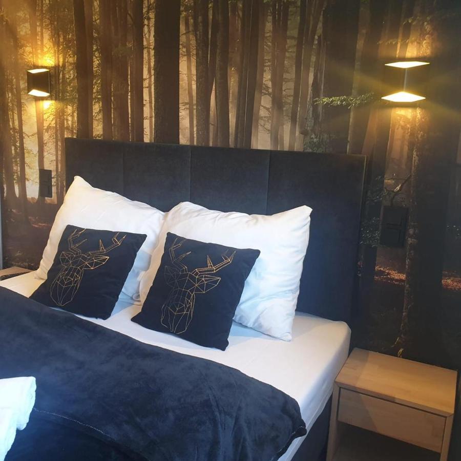 Apartament Izerska Przygoda - 5D Apartamenty Сверадув-Здруй Экстерьер фото